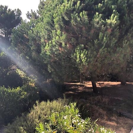 Villa Arethuse - Pyla Sur Mer エクステリア 写真