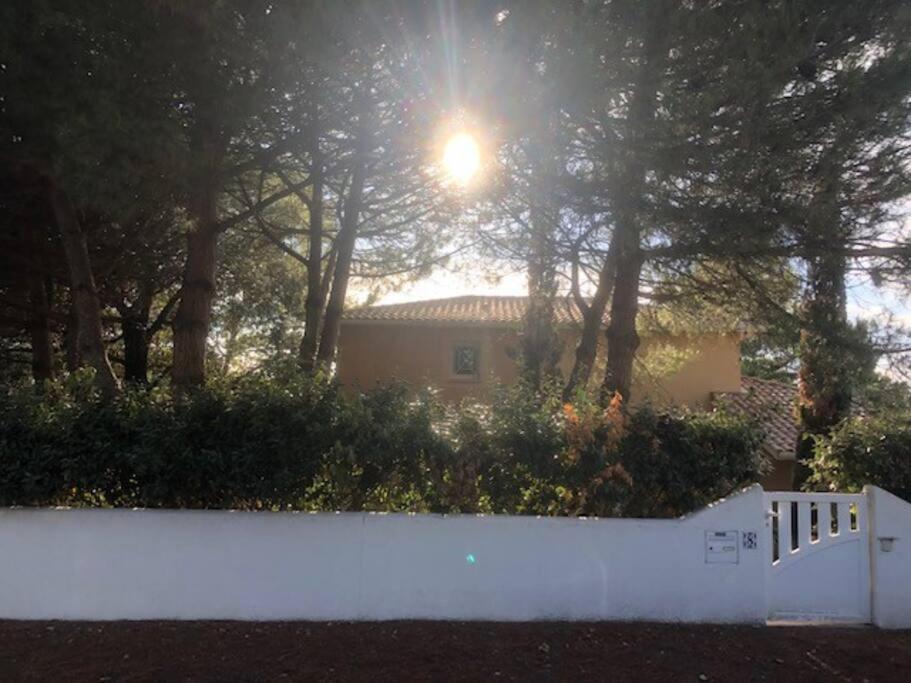 Villa Arethuse - Pyla Sur Mer エクステリア 写真